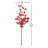 Berry Arrangement-734870187