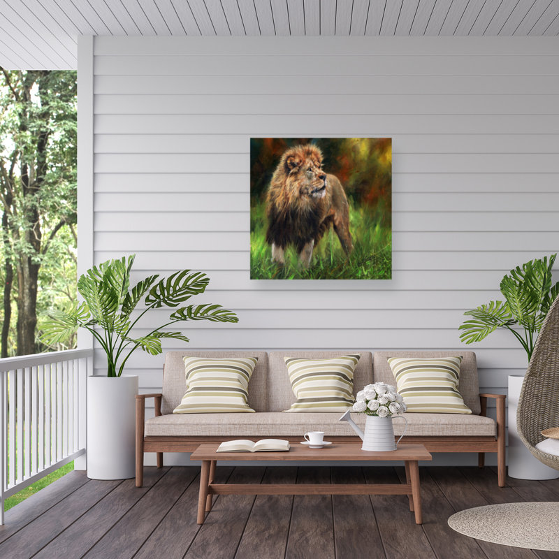 Toile pleine longueur David, H 14 po x l 14 po