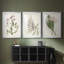 Antique Botanical Collection I - Impression personnalisée de qualité supérieure avec cadre mat - 3 pièces-1819233692-1819233691