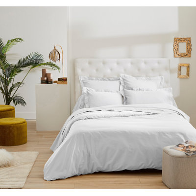 Cayne Satin