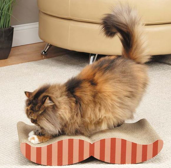 Rowlett 4 " H Cat Scratching Post
