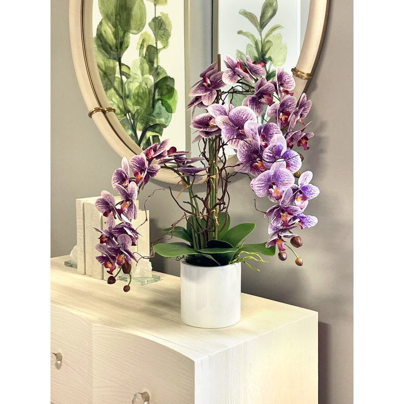 Modern Orchid Arrangement in Round Fiberstone Pot, Purple
