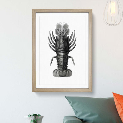 Lobster Illustrations by E.F. Jomard - Picture Frame Graphic Art Print