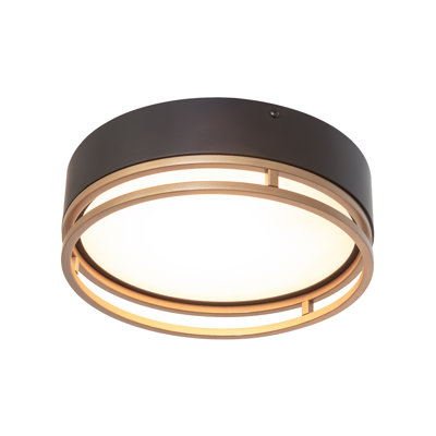 1 - Light Flush Mount