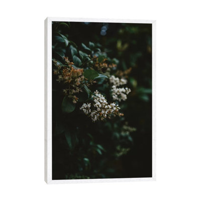 Washington Blooms by Bethany Young - Print on Canvas