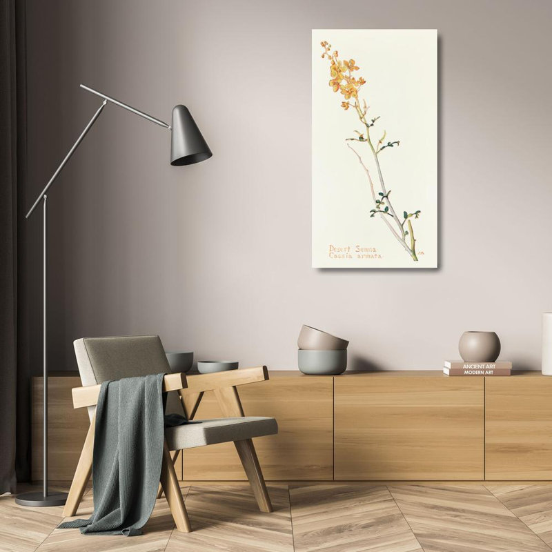 «Desert Senna» par Margaret Armstrong, art mural sur toile tendue avec châssis, H 24 po x l 17 po