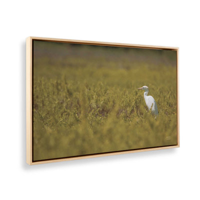 «Everglades National Park» par Nathan Larson, reproduction d'art sur toile