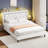 Alber Bed Frame with Storage Headboard, Upholstered Platform Bed Frame with Diamond Tufted Headboard and LED Lights, Wooden Slats Support, Noise Free-1692455152-1694491608
