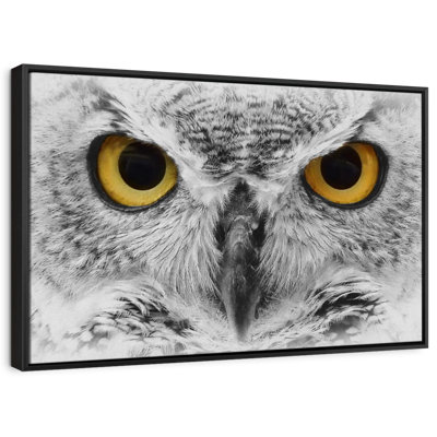 " Gazing Bold Owl Canvas Print "