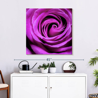 Harnek Purple Rose