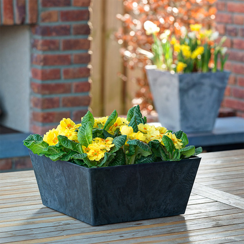 Pot à fleurs à arrosage automatique Wendover, Noir, H 5,25 po x l 11,5 po x P 11,5 po