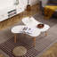  1 Coffee Table-768786586