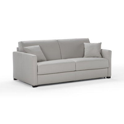 Angeleca 77'' Italian Water Repellent and Abrasion Resistant Performance Fabric Queen Sofa Bed