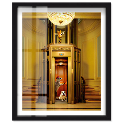 Raton laveur Bellhop Shadowbox Animal Glam Art par Notoriart, cadre noir, H 21 po x l 17 po