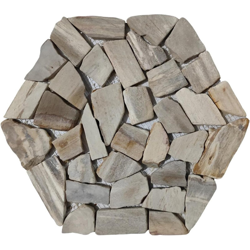 Carreau de mosaïque en pierre pétrifiée