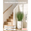 68.6cm Faux Onion Grass Grass