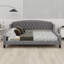 Lit de jour Modern Luxury-608876620