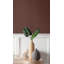 Roma Leather-1732715085