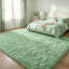 Aalieyah Deep Pile Fluffy Shaggy Area Rug for Indoor Use Sage Green-392446122