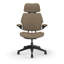 Freedom Headrest Ergonomic Task Chair - Autumn-1376687723