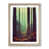 Oak Framed