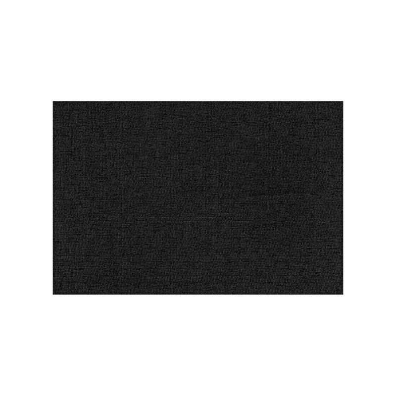 Indoor Outdoor Area Rug, Rectangle 6' x 9', Black