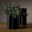 Xyla Vases, Set Of 2