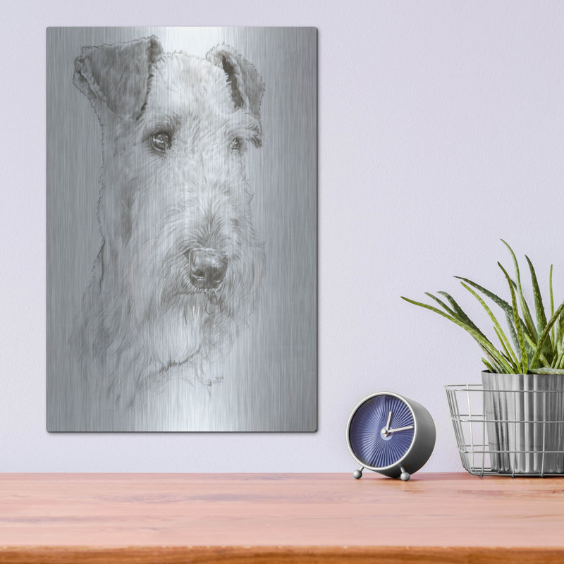 «Shaggy» par Barbara Keith, H 16 po x l 12 po