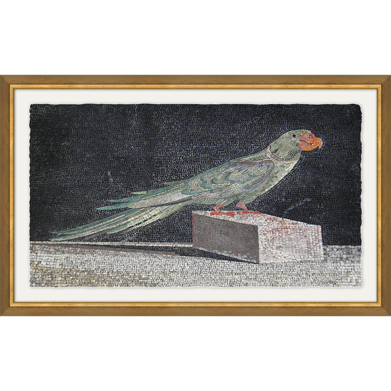 Parakeet Print by Soicher Marin Archives