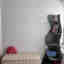 Photos des clients 1 de 1