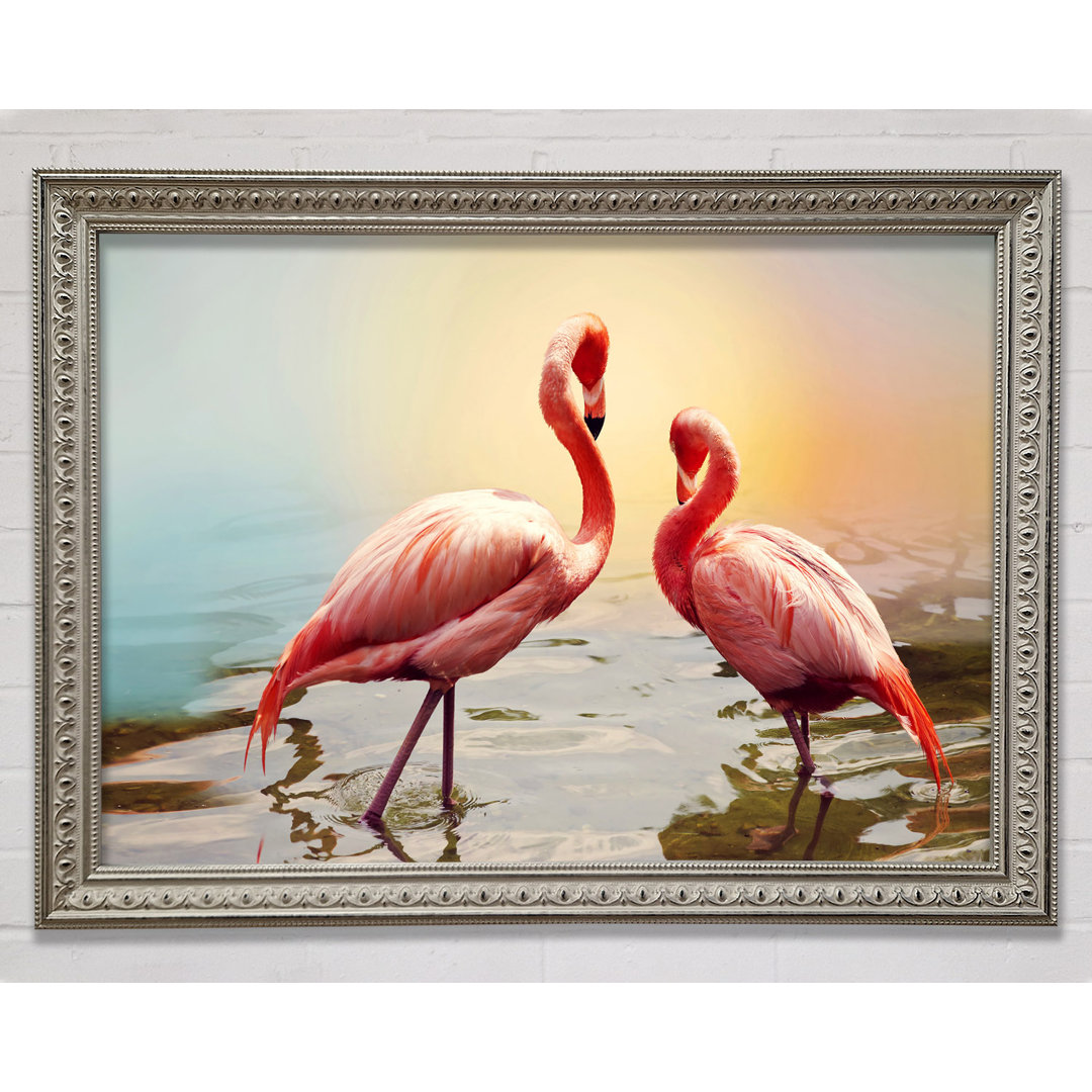 Flamingo Sonnenuntergang Gerahmter Druck