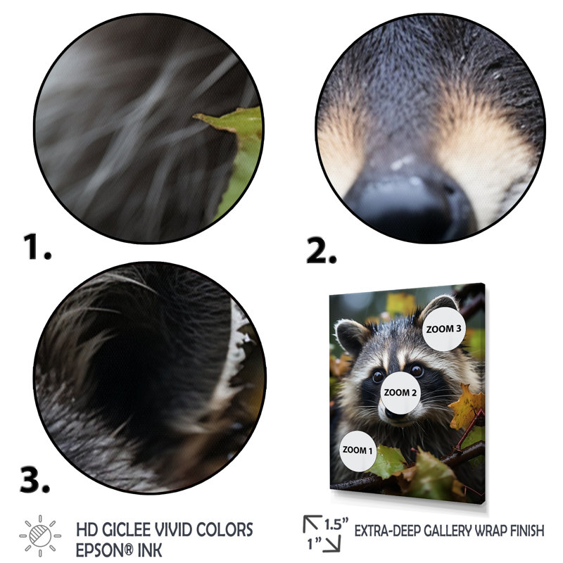 «Vibrant Raccoon Portrait II», reproduction sur toile, H 44 po x l 34 po x P 1,5 po, Cadre flottant noir