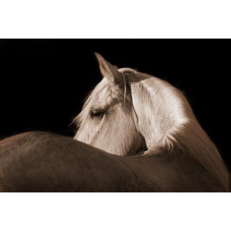 Baroque Beauty - Wrapped Canvas Art Prints, 81cm H x 122cm W