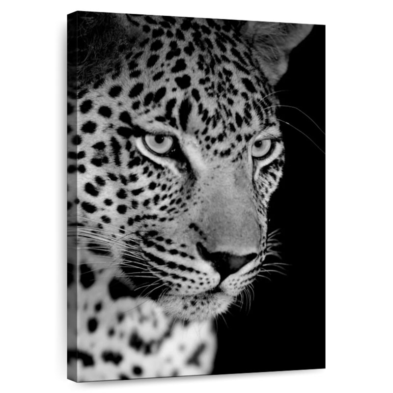 Brampt Leopard Monochrome, 51" H x 34" W