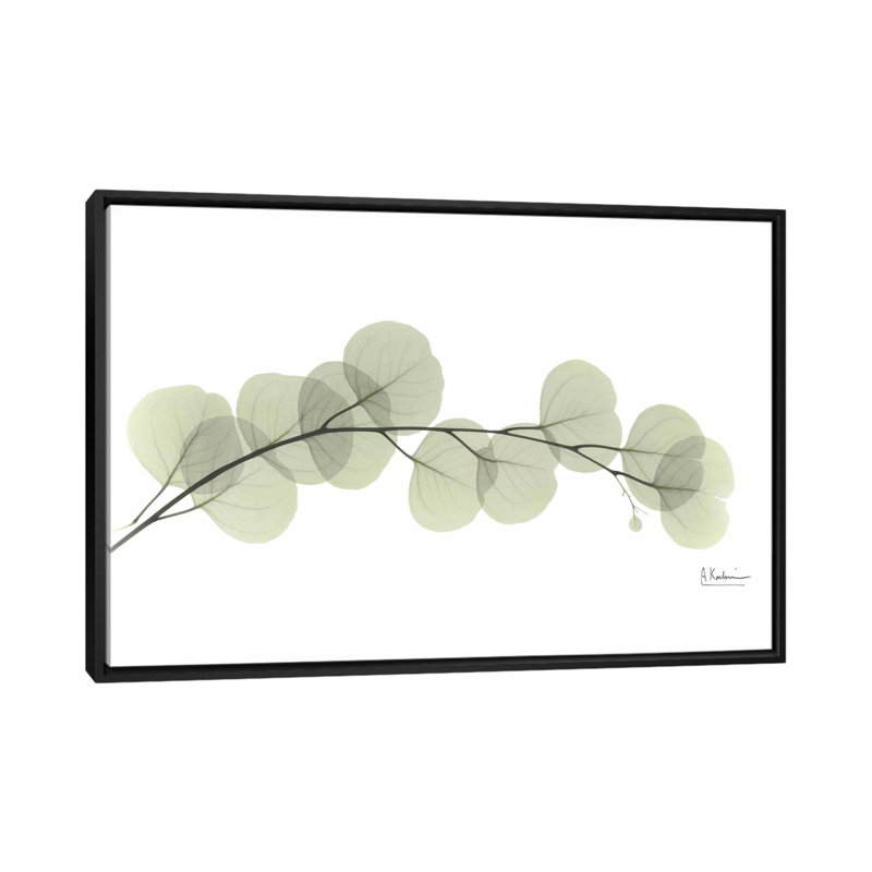 «Eucalyptus» par Albert Koetsier, reproduction sur toile, H 18 po x l 26 po x P 1,5 po, Toile avec cadre noir, Pas de tapis