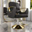 Hydraulic Salon Chair (Single Pack)