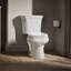 Wellworth® 1.28 GPF (Water Efficient) Round Two-Piece Toilet  (Seat Not Included)-101431097-10980019