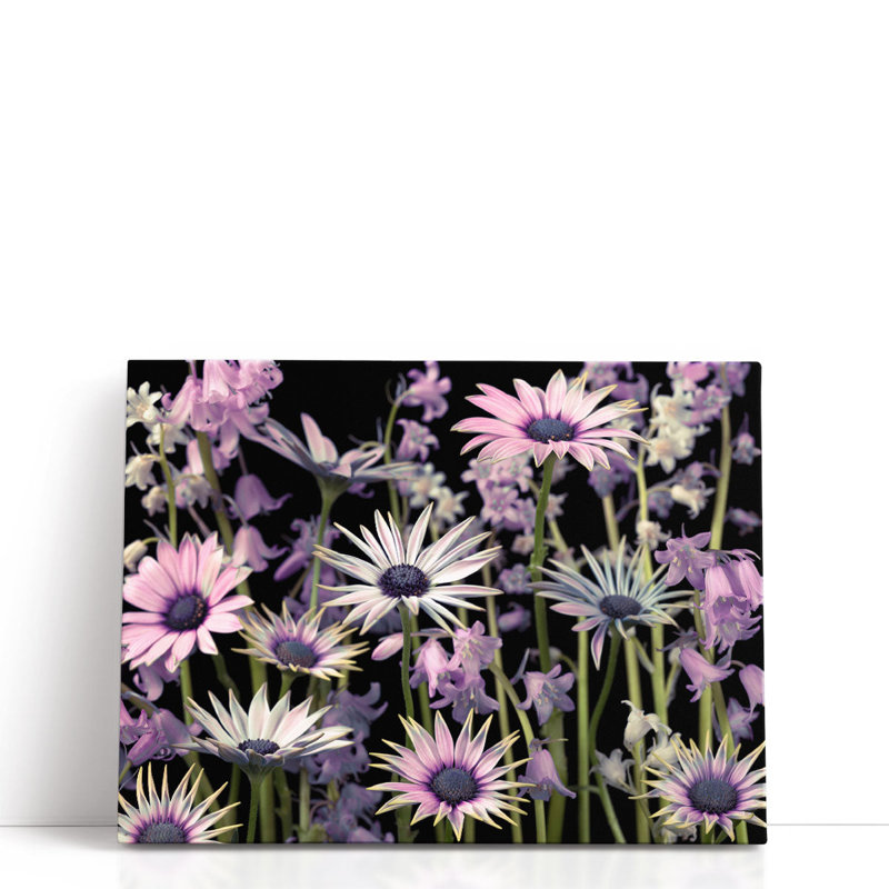 «Meadow Flowers 1», reproduction d'art sur toile, H 24 po x l 32 po