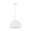 Luminaire suspendu extensible 15 po Crane