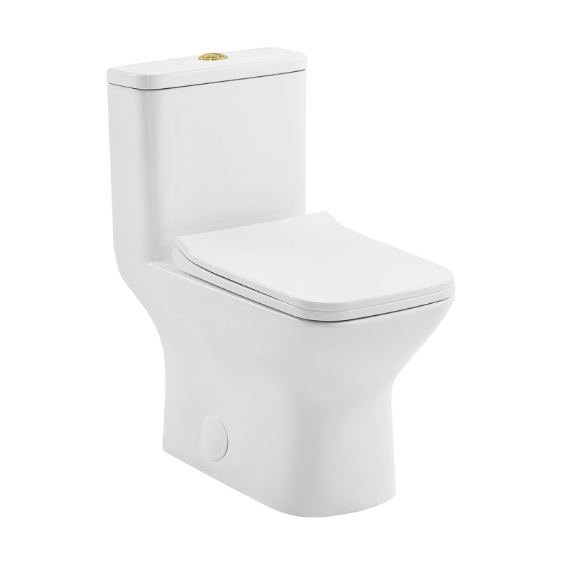 Carre One Piece Square Toilet Dual Flush, Gold/White