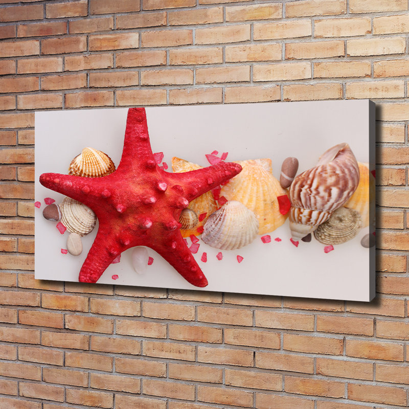 Starfish And Shells - Wrapped Canvas Print