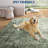 Modern Abstract Area Rug, Washable Rugs for Living Room, Non Slip & Stain Resistant Ombre Print Accent Carpet, Low Pile Home Decor Floor Decoration Mat-1337440143-1339440403