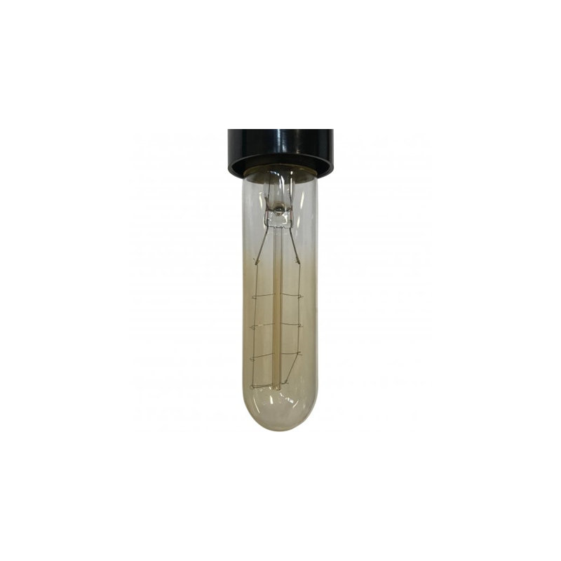 Ampoule incandescente de 40 po Gilcrest, culot moyen (standard) E26