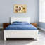 Motif floral d'animaux avec papillon et abeille-1406397286-1406397288-1406397291