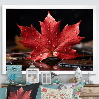 Canada Canada Pride III