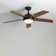 Ceiling Fan with LED Lights