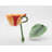 Quitman Orchid Teacup & Saucer Set