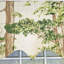 Canopy Regal Valance