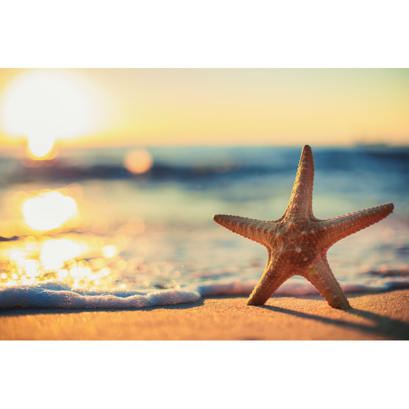 Starfish on the Beach 1 Piece Wrapped Canvas Wall Art, 30cm H x 46cm W x 3.8cm D