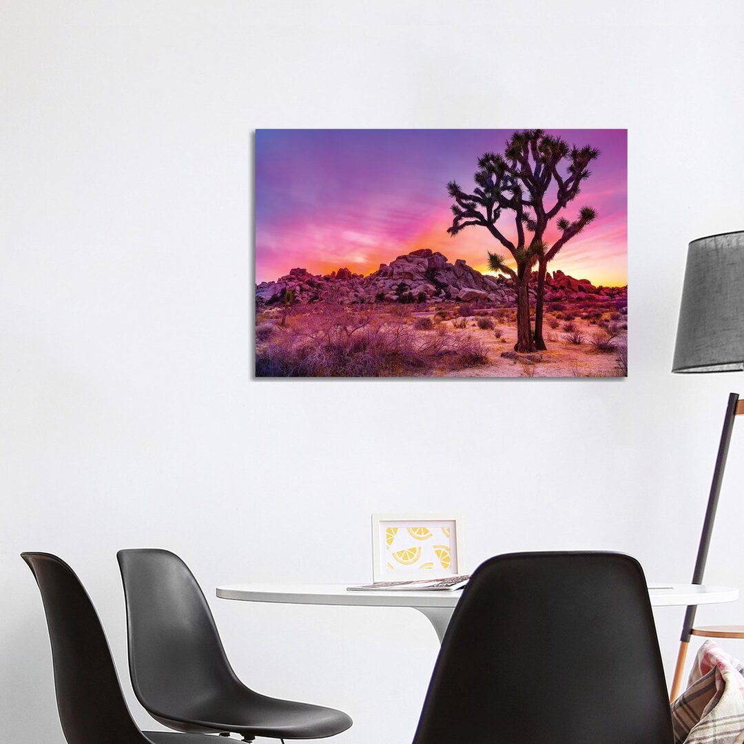 Joshua Tree National Park IX von Susanne Kremer - Galerie-verpackte Leinwand Giclée